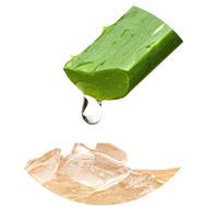 aloe-vera